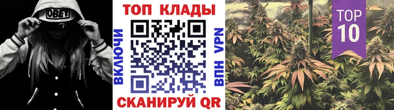 Какие есть наркотики Сафоново ГАШИШ  Кокаин  Героин  МАРИХУАНА  МЕФ  APVP 