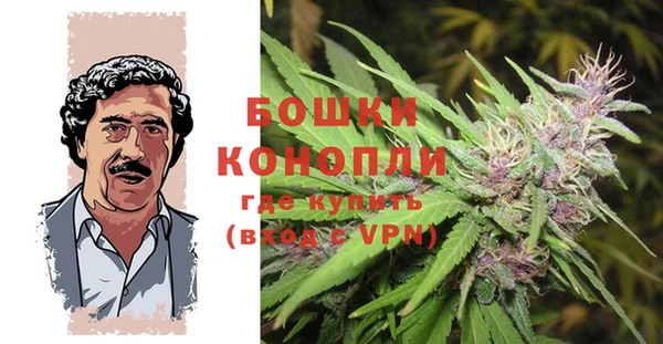 твердый Магас