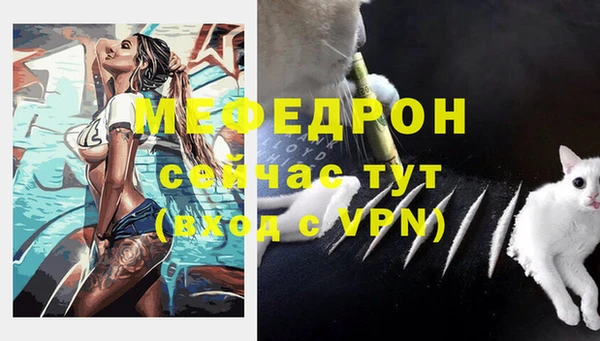 ECSTASY Майский