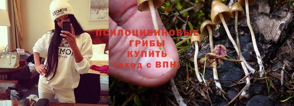apvp Магадан