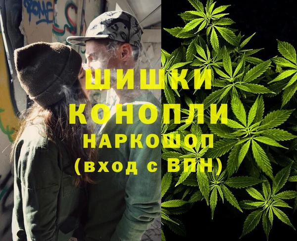 ECSTASY Майский