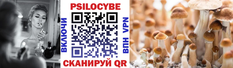 Псилоцибиновые грибы Psilocybine cubensis  где можно купить наркотик  Сафоново 