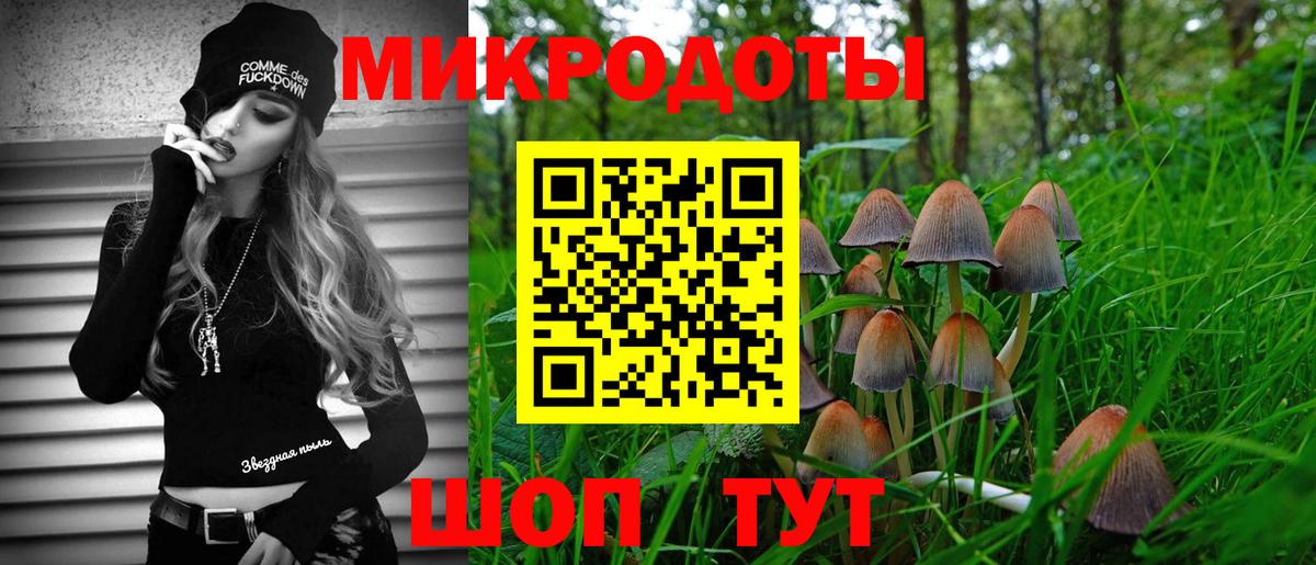 хочу наркоту  Вход с VPN  Псилоцибиновые грибы Cubensis  Сафоново  Псилоцибиновые грибы GOLDEN TEACHER 